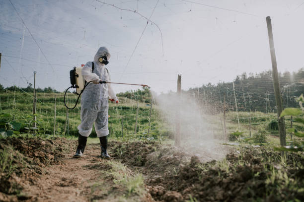 Professional Pest Control in Redway, CA