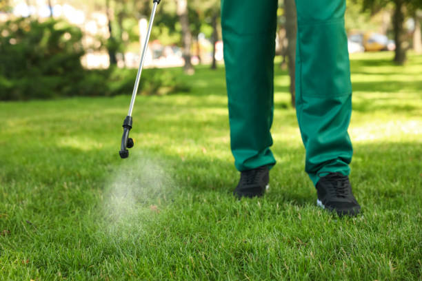 Best Mosquito Control Services  in Redway, CA