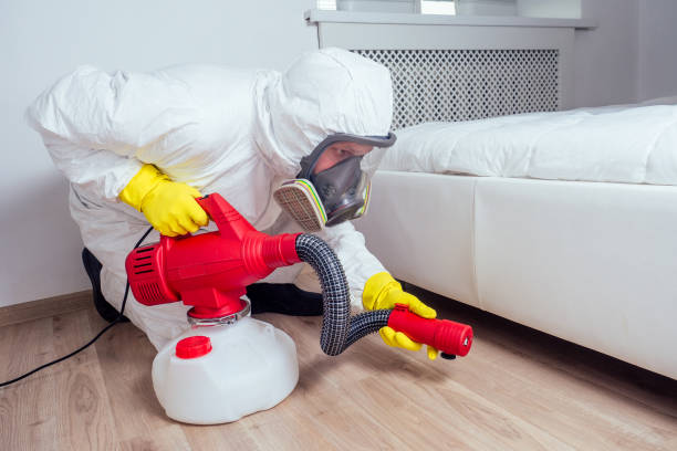 Best Insect Control  in Redway, CA