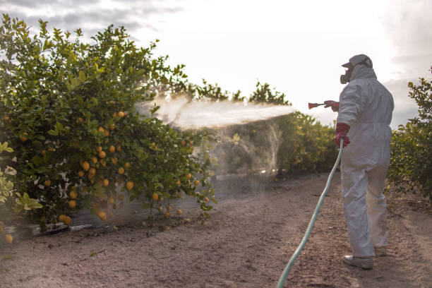 Best Pest Inspection Near Me  in Redway, CA