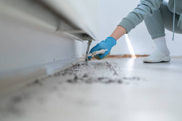 Best Pest Prevention Services  in Redway, CA